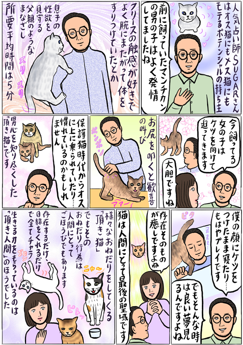 （イラスト・タイトル：辛酸なめ子）