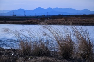 風のない日に思うこと