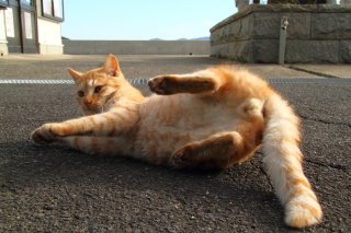 「大きくなぁれ」ほわほわかわいい“たまたま”の成長を祈る