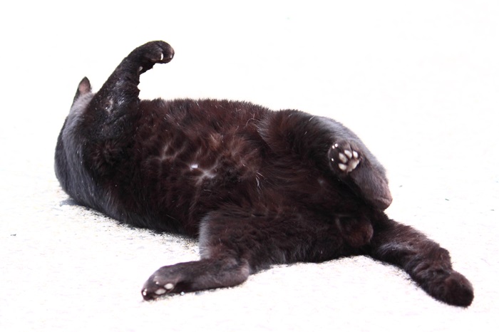 （写真:芳澤ルミ子）