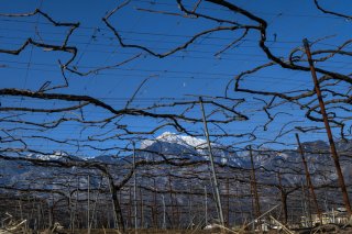 春まであと少し？