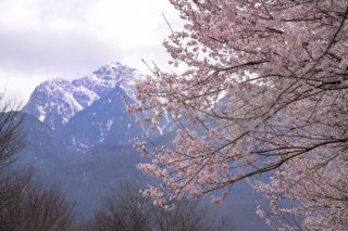 甲斐駒ヶ岳（春）のごほうび