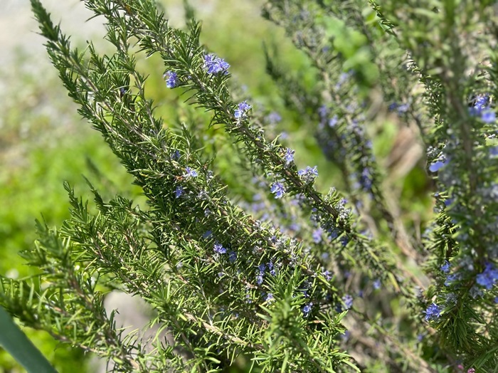 万能すぎるんやで／無断転載禁止（C）コクハク