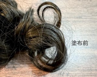 ボリュームUP感は…（C）コクハク