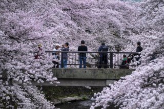 幸せの価値、そして――。