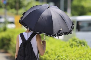 何しに来たの？（写真:photoAC）