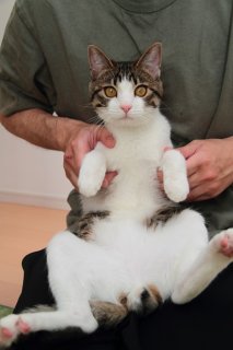 「楽しく暮らしています」“たまたま”が遠く離れた母上に一筆啓上