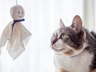 サイズもお値段も小さめ! 1stチョイスにピッタリな電マ♡