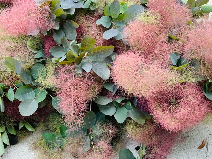 切れるのかぃ？切れないのかぃ？／無断転載禁止 （C）コクハク