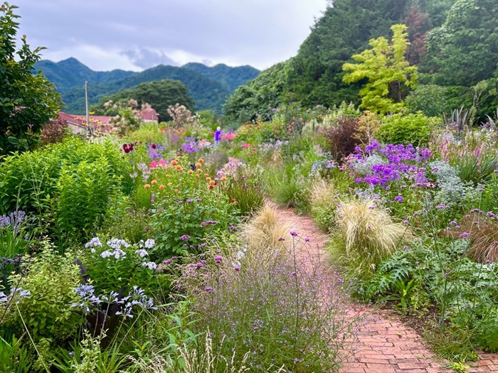 まるでアノ世気分／無断転載禁止 （C）コクハク