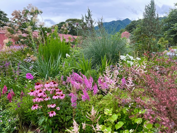 この景色が無料で楽しめる／無断転載禁止 （C）コクハク