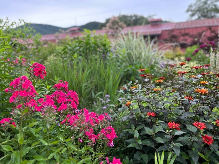 植物の健やかさよ／無断転載禁止 （C）コクハク
