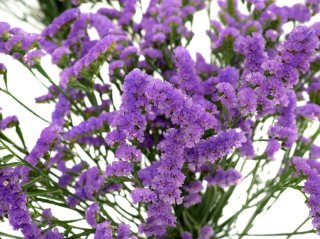 いつの間にかドライフラワーに（写真:iStock）