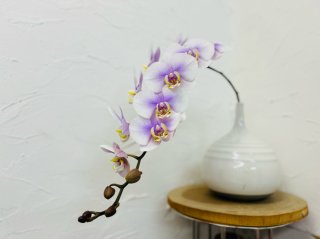 大優勝！秋から元気な“開運最強”花5選。一輪挿しでも存在感たっぷりで映える1本を紹介