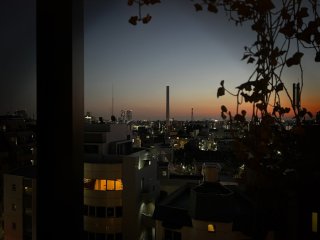 51歳だけど結婚する気はあるの? “高齢”独女に未来の夫と家族は必要か