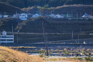 変わらない、変われない。