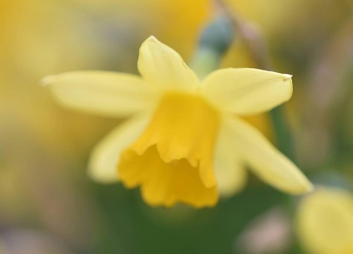 大幸運を呼び込むんですって／無断転載禁止（写真:Aribaba）