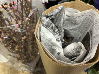 お花屋の桃は寒い店内でどう過ごすかがカギ／無断転載禁止（C）コクハク