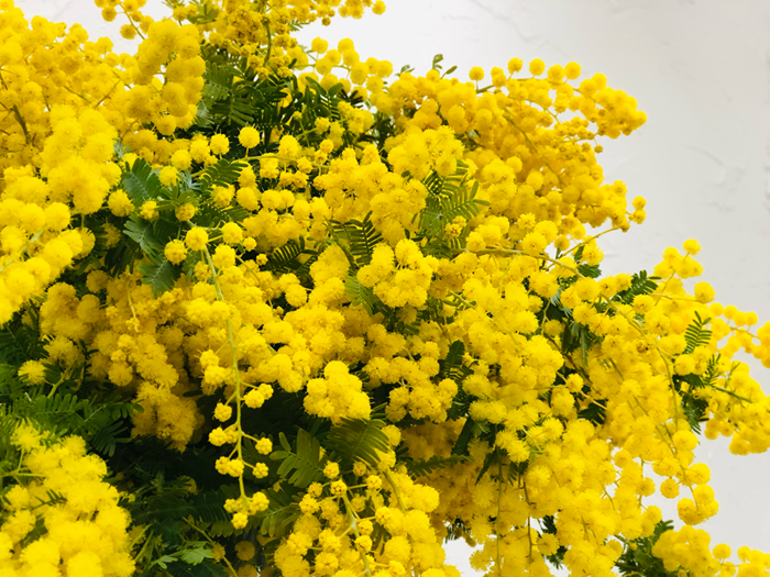 ／無断転載禁止（C）コクハク