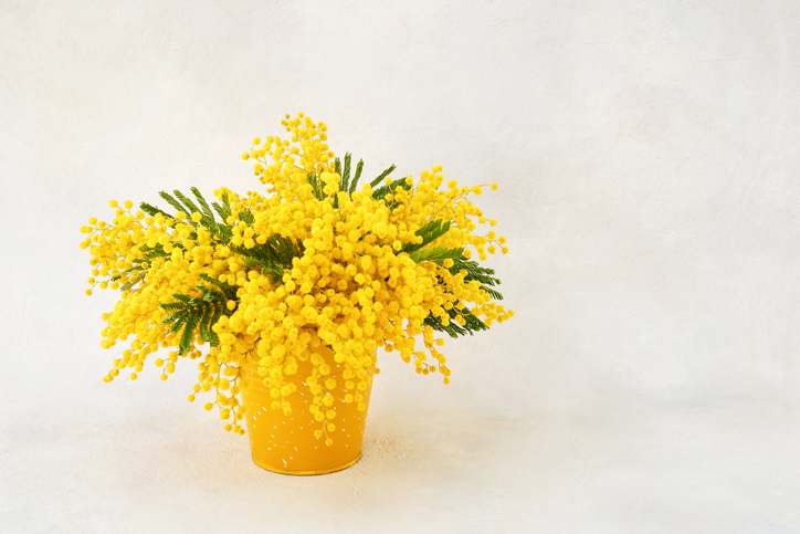 根詰まりに気を付けて（写真:iStock）