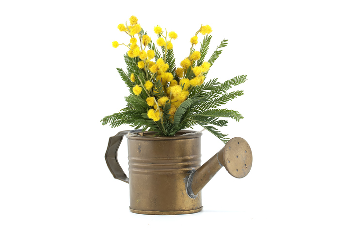 水やりを忘れずに（写真:iStock）