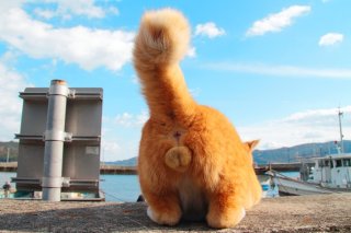 天界からのパワーを受信中？ 神聖な空気が漂う厳かな“たまたま”