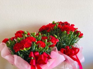 母の日に「花鉢」はいかが？ 定番カーネーション＆アジサイ鉢が“長持ちする”管理のコツ【開運花師おすすめ】 