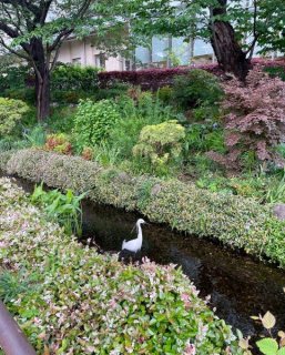 商店会の再出発からもうすぐ1年…現在の“脱ポンコツ度”をチェックしてみよう