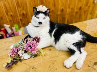 母の日の贈り物を“受け取り拒否”する姑たち。花屋が「令和の嫁」トリセツを提案します