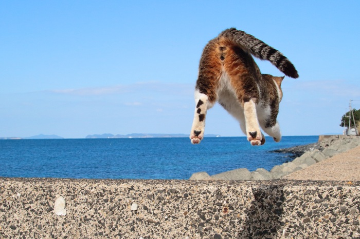（写真:芳澤ルミ子）