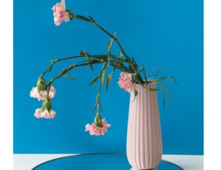 「現金がよかった」ってそりゃないよ~!『母の日』のガッカリエピソード