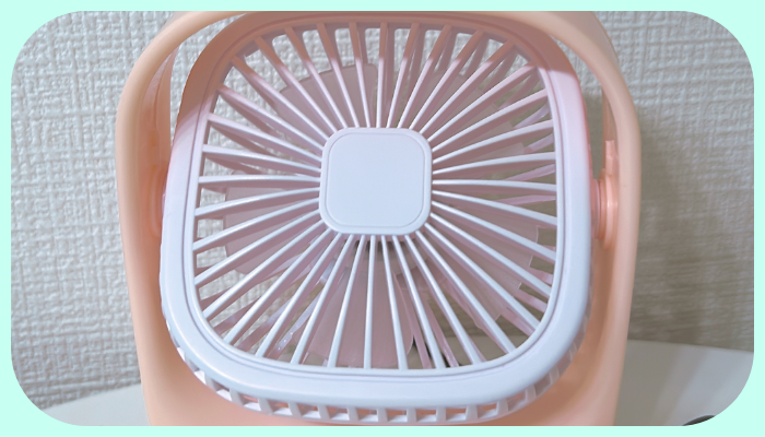 ダイソーで夏準備完了！（税込=以下同　編集部調べ）／（写真:canちゃん）（写真:canちゃん）  　