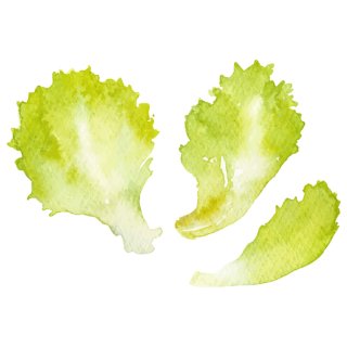 レタスを見ると思い出す？（写真:iStock）