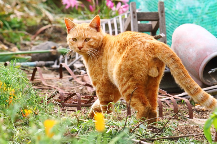 （写真:芳澤ルミ子）