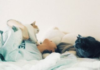 （写真：円井わんさん提供）