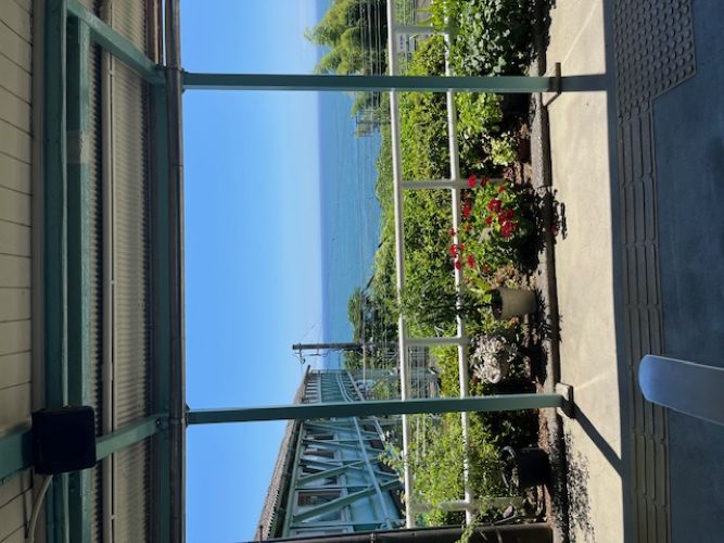 キター！！（写真:新井見枝香／無断転載禁止）