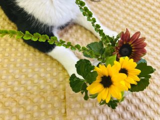 最近じゃこんなに小さいのもあるぜよ　byさぶ店長／無断転載禁止（C）コクハク