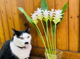 比較対象にワシを横に置くのそろそろやめんか byさぶ店長／無断転載禁止（C）コクハク