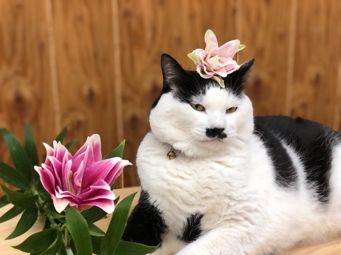 ええ匂いやな／無断転載禁止（C）コクハク