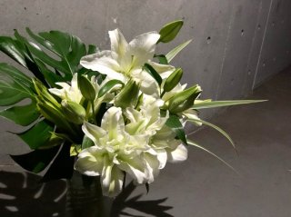 どんな切り花にも使えるで／無断転載禁止（C）コクハク