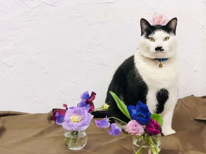 短く折れた花も捨てないで byさぶ店長／無断転載禁止（C）コクハク