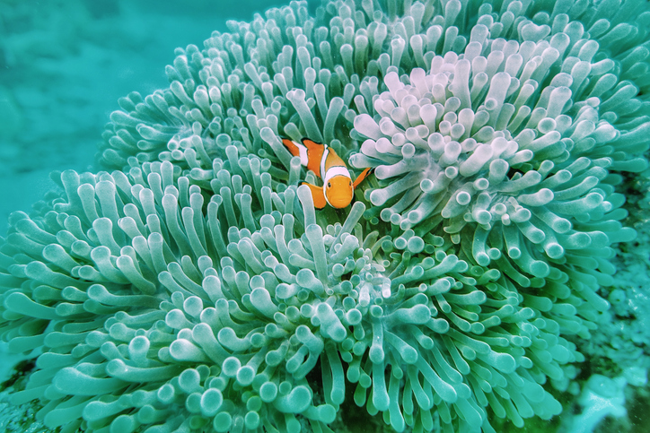 共に支え合って生きている（写真:iStock）