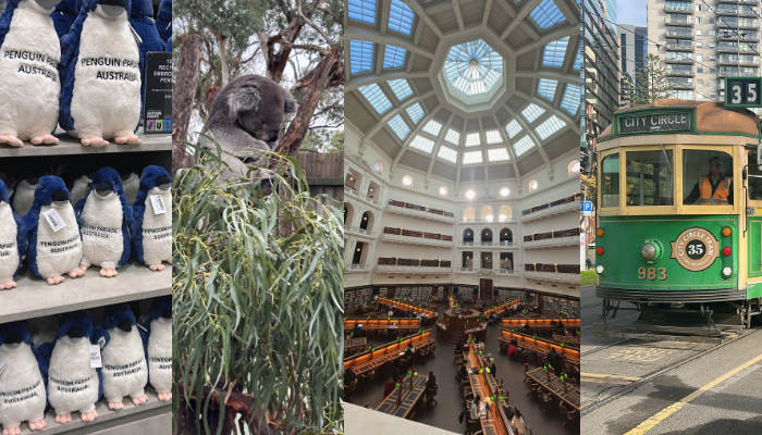 旅のプランはChatGPTに立ててもらいました♪（写真:canちゃん）  　