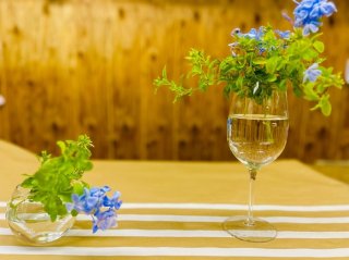 猛暑でも“元気すぎる”青い花。「アムロ、行きまーす!」ばりのタフな優秀選手、玄関に飾るのがオススメな理由