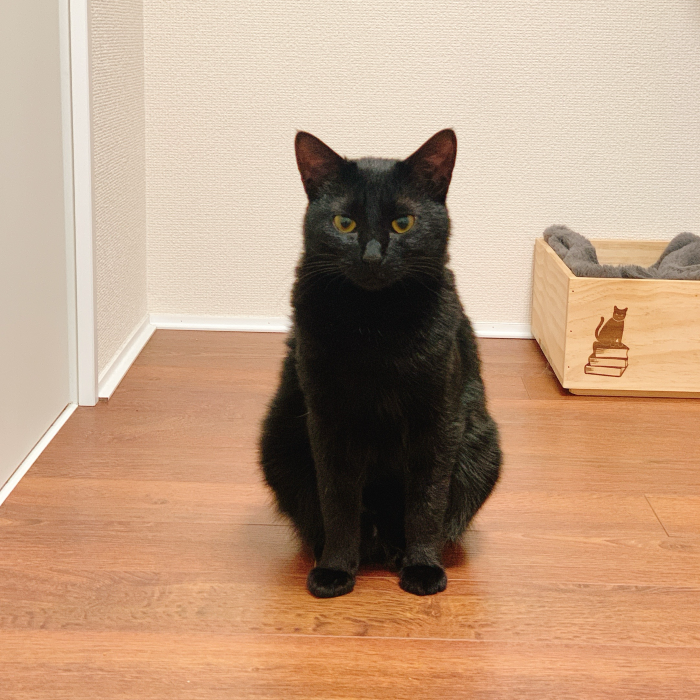 弊社からのメールではございません。（写真:新井見枝香／無断転載禁止）