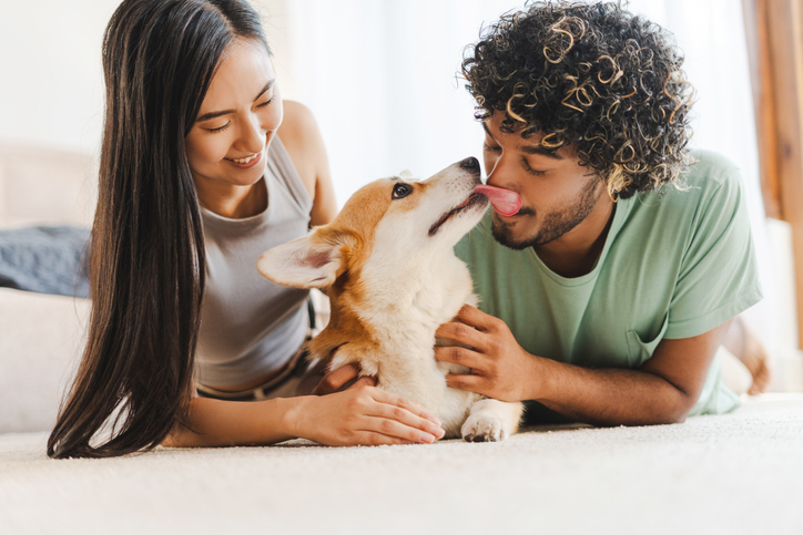 犬しか勝たん（写真:iStock）