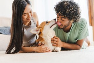 犬しか勝たん（写真:iStock）