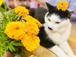 16歳になったワシ。敬老の日はちゃんと敬えや byさぶ店長／無断転載禁止（C）コクハク