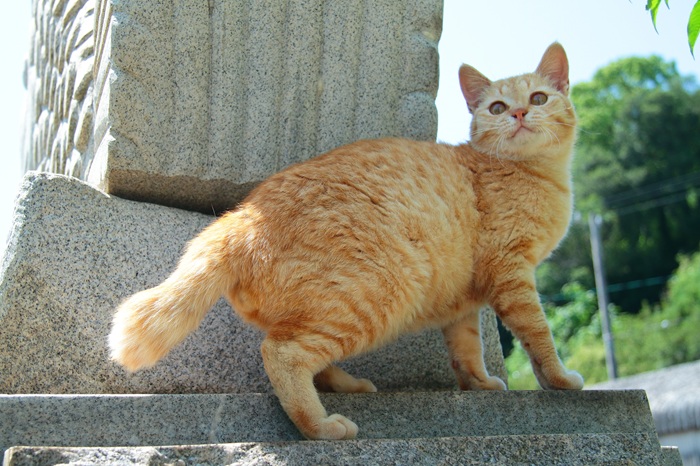 （写真:芳澤ルミ子）