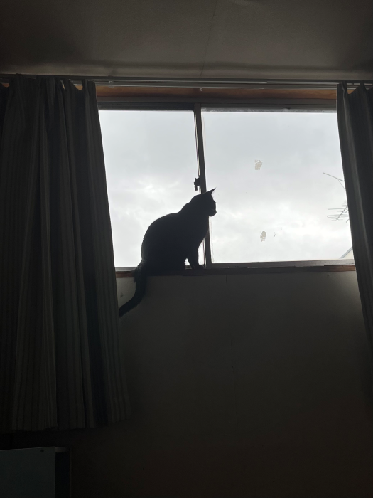 今日も曇りか…（写真:新井見枝香／無断転載禁止）